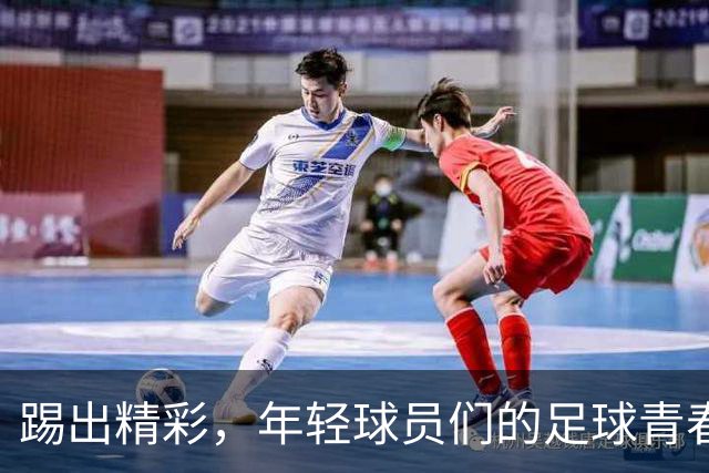 踢出精彩，年轻球员们的足球青春物语
